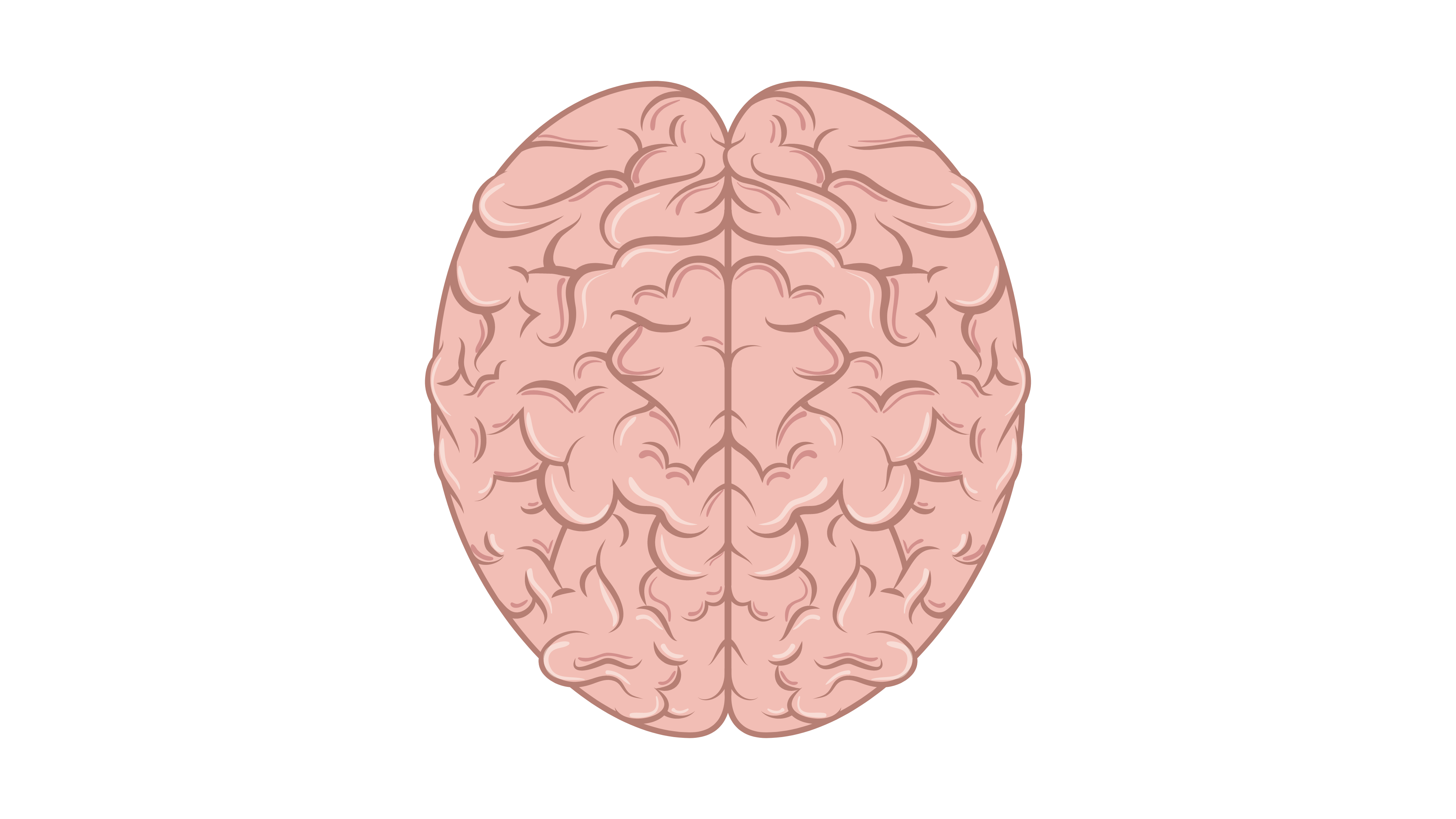 Brain animated image