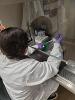 REU Experiment in Progress