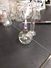 REU Experiment in Progress