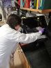 REU Experiment in Progress