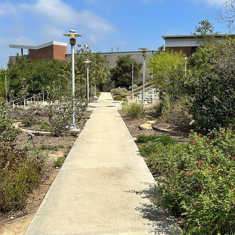 Walkway through campus garden