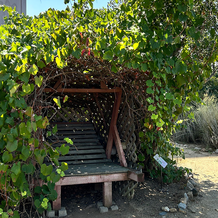 A shaded bench under tree canopy