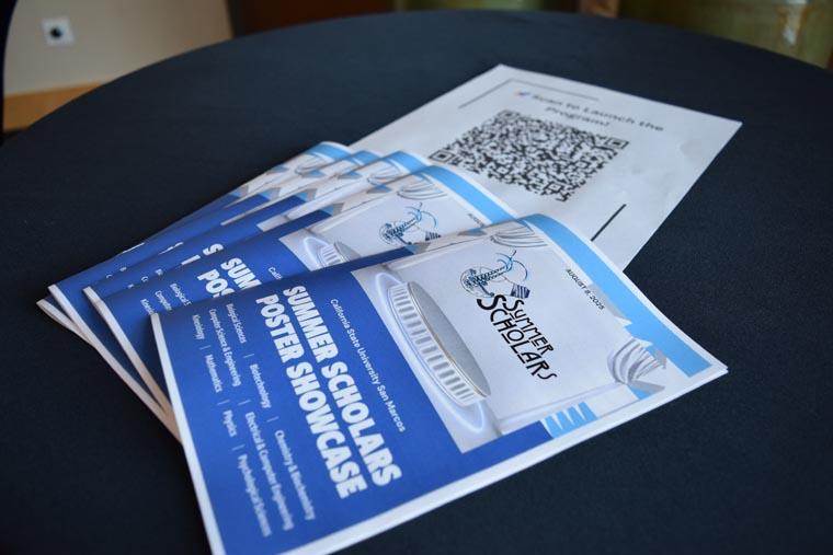 Summer Scholars brochures