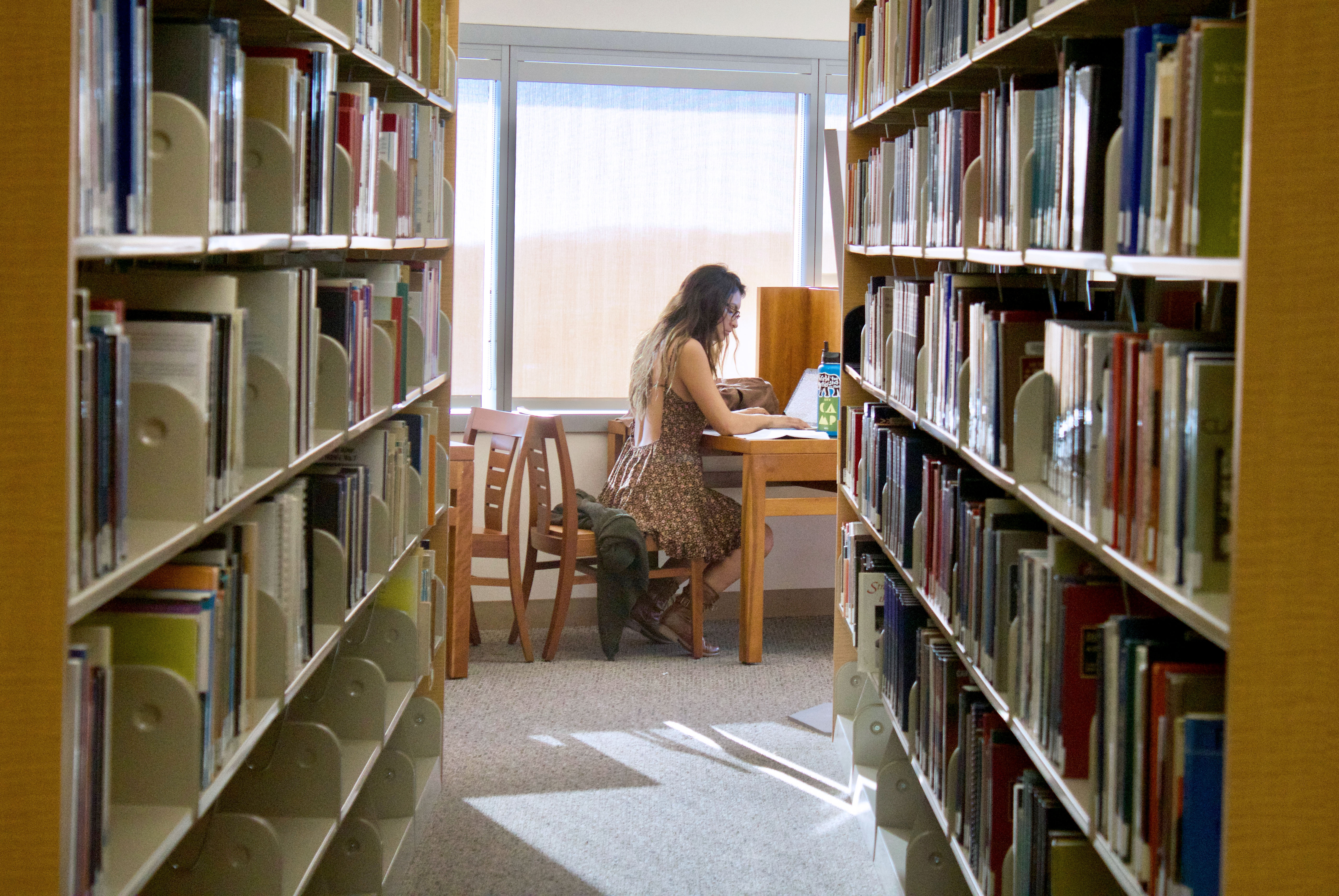 Student studying in the library