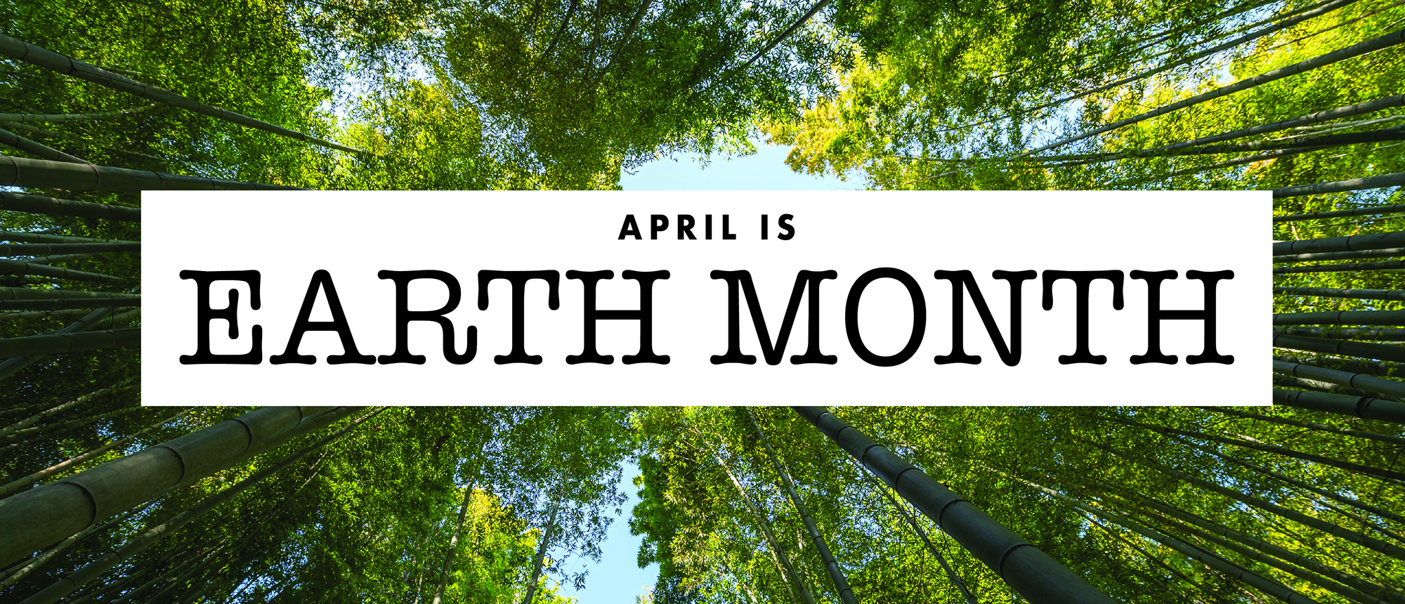 Earth Month Web Banner