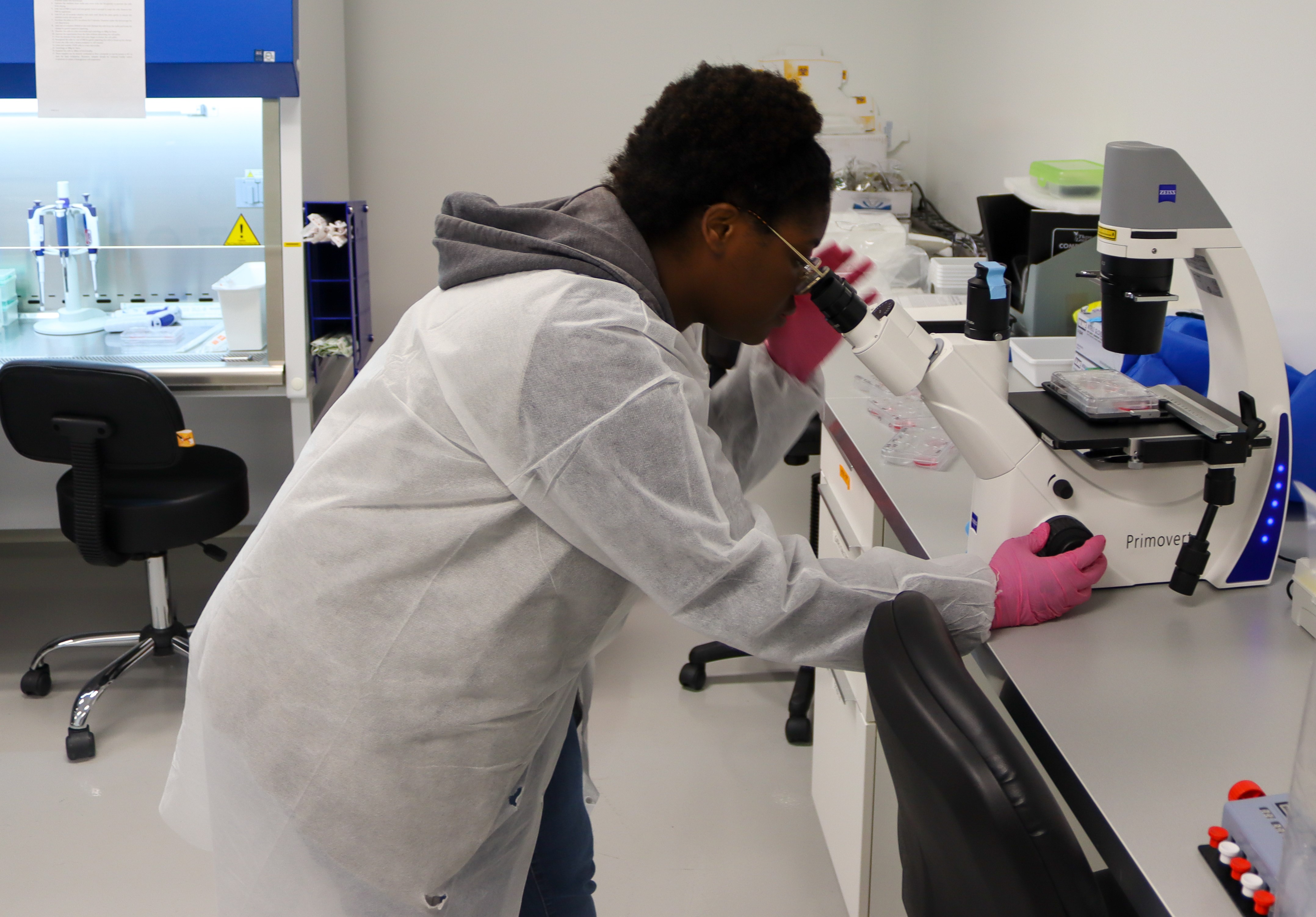 Microscope use