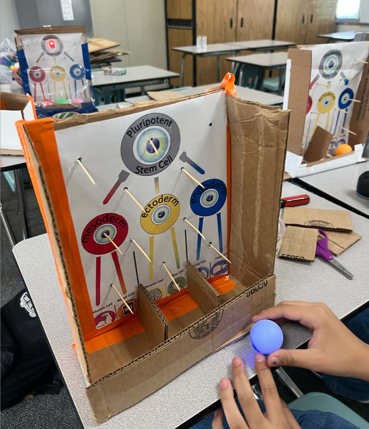 Stem cell Plinko Boards