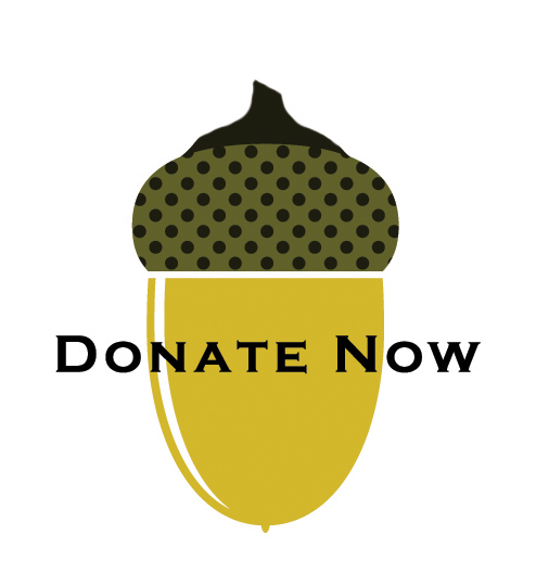 acorn donation button