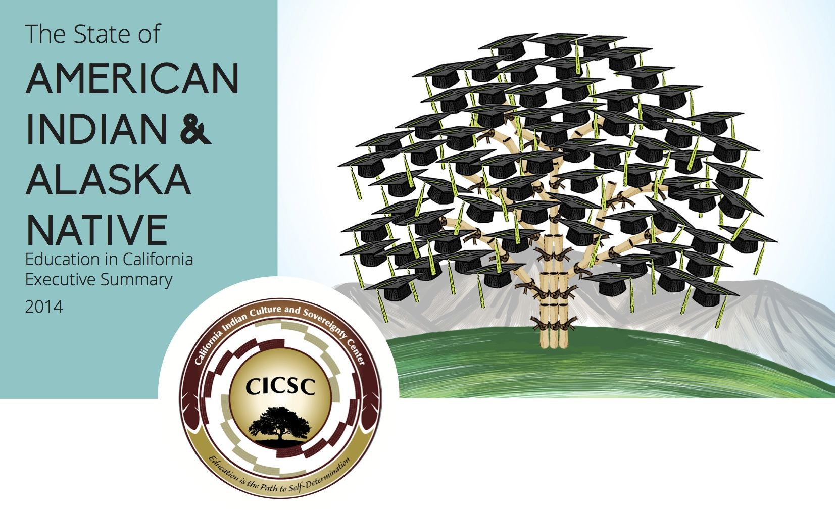 2014 CICSC Education Report Cover