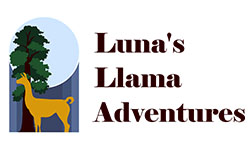 Luna's Llama Adventures
