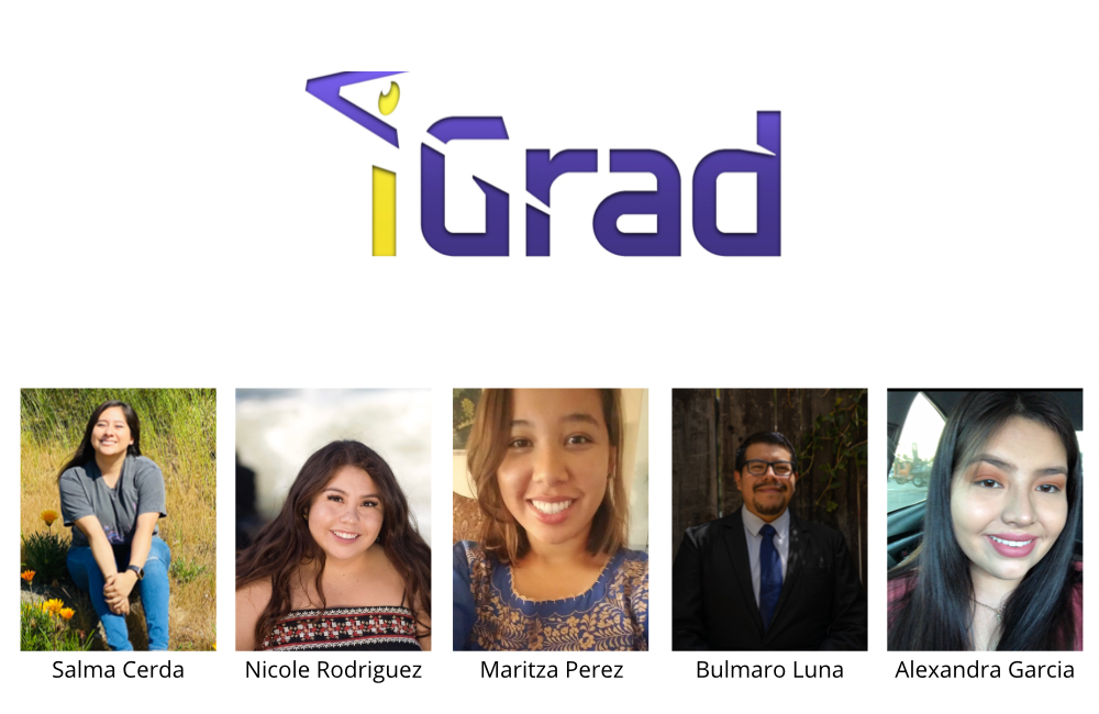 Igrad team