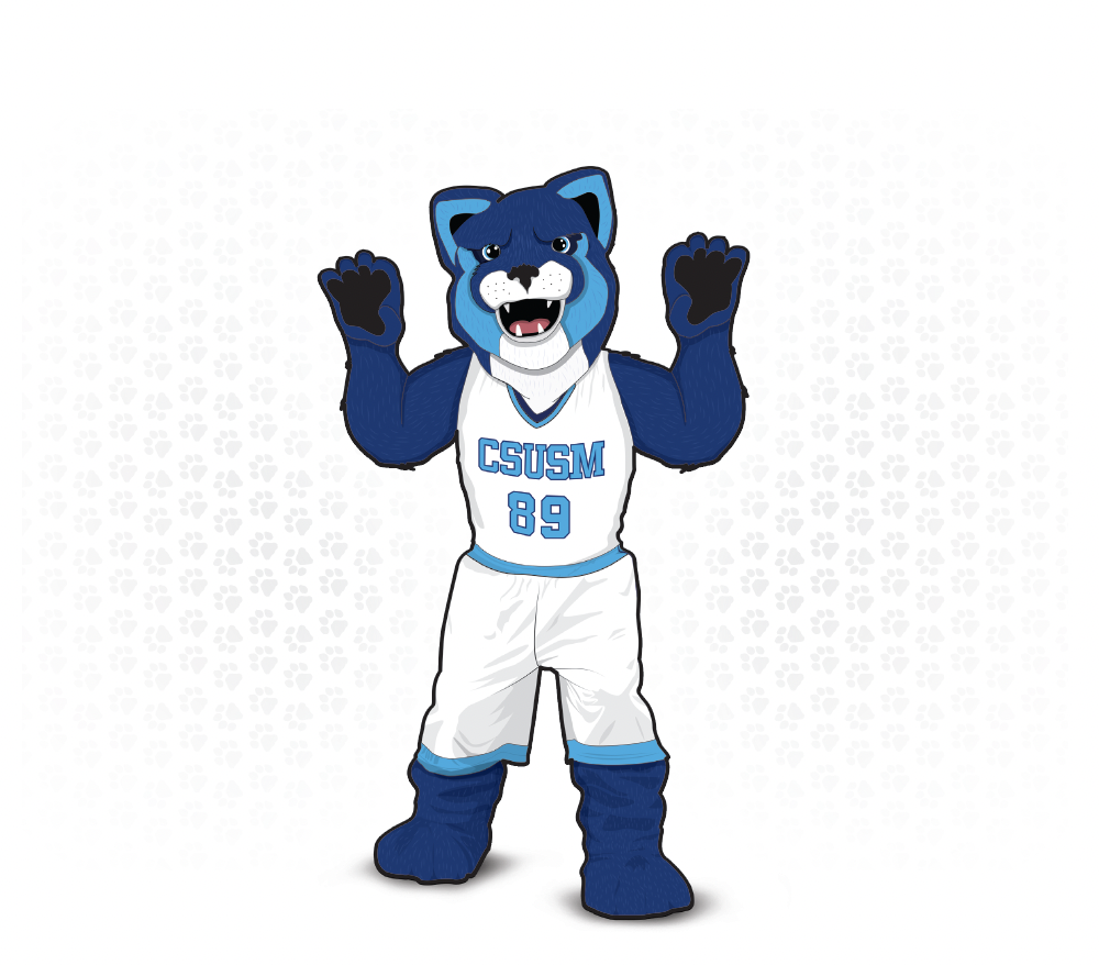 csusm illustration