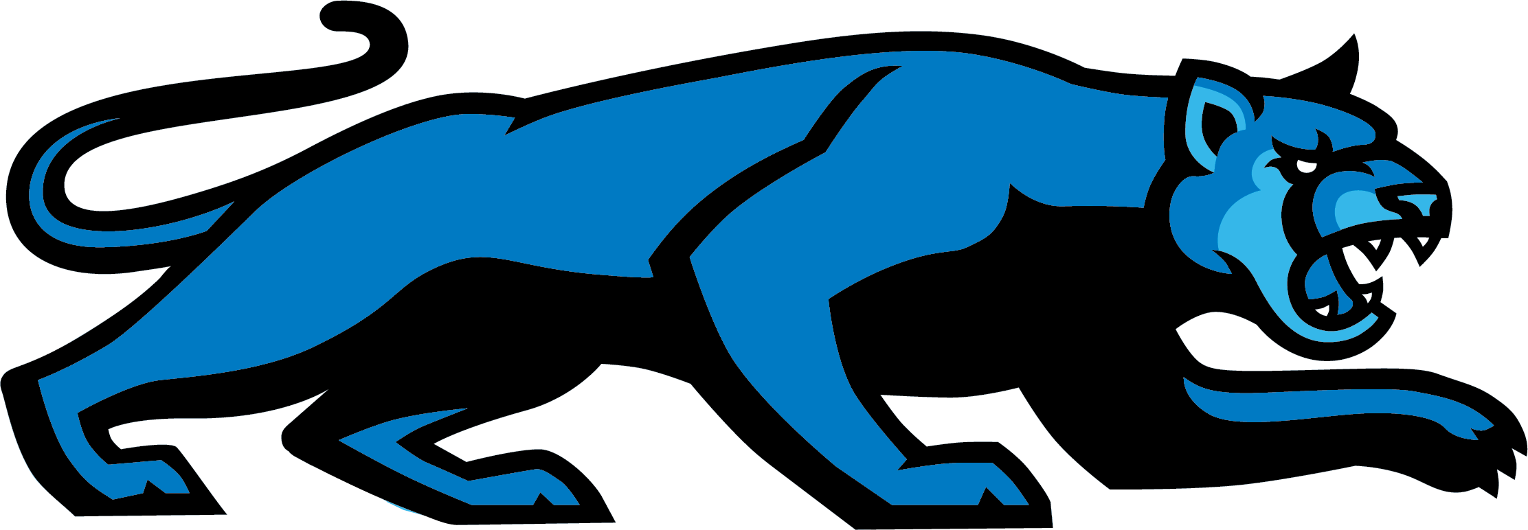 csusm full body cougar