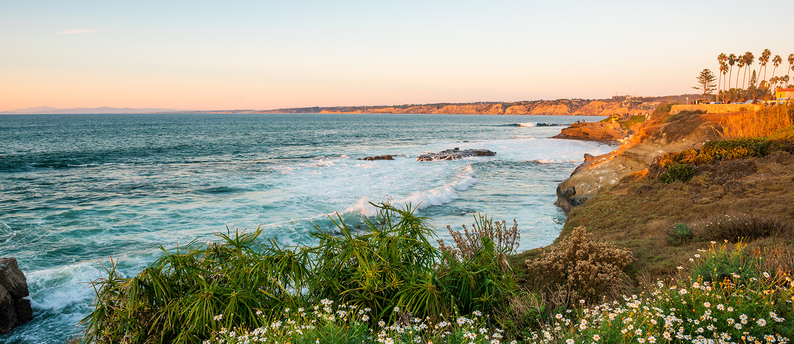 Coastal landscape