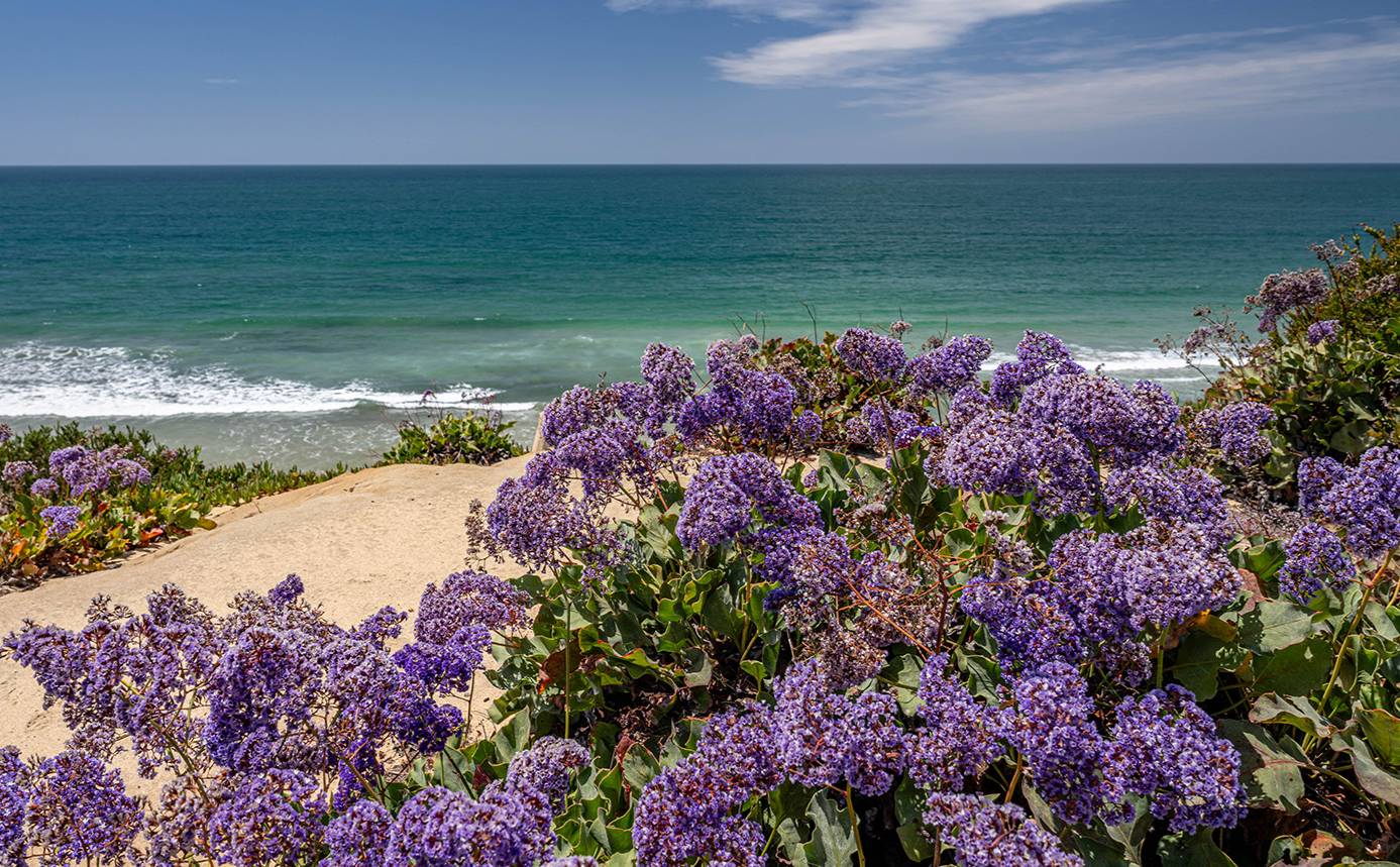 beach landscape