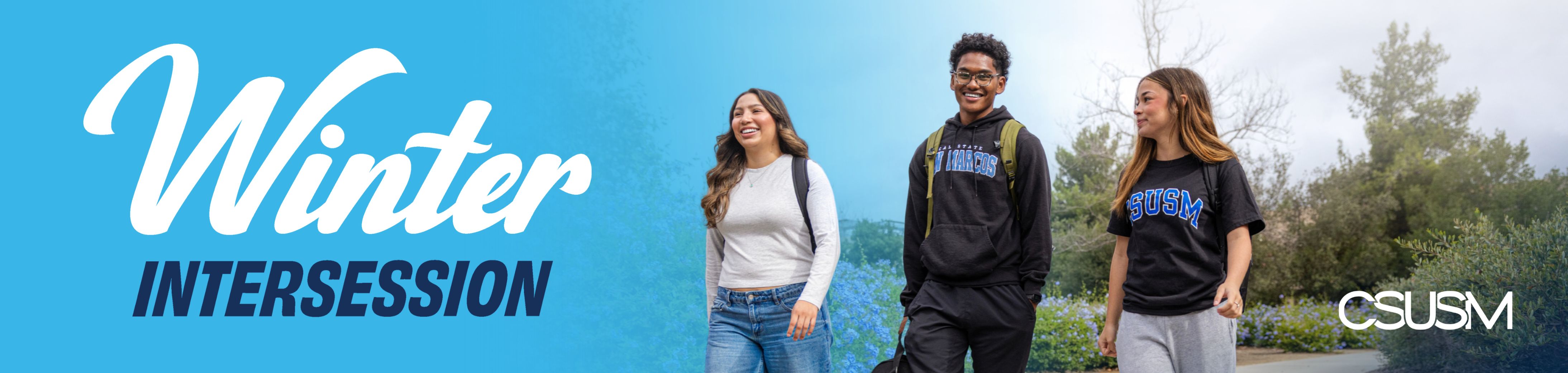 winter intersession banner