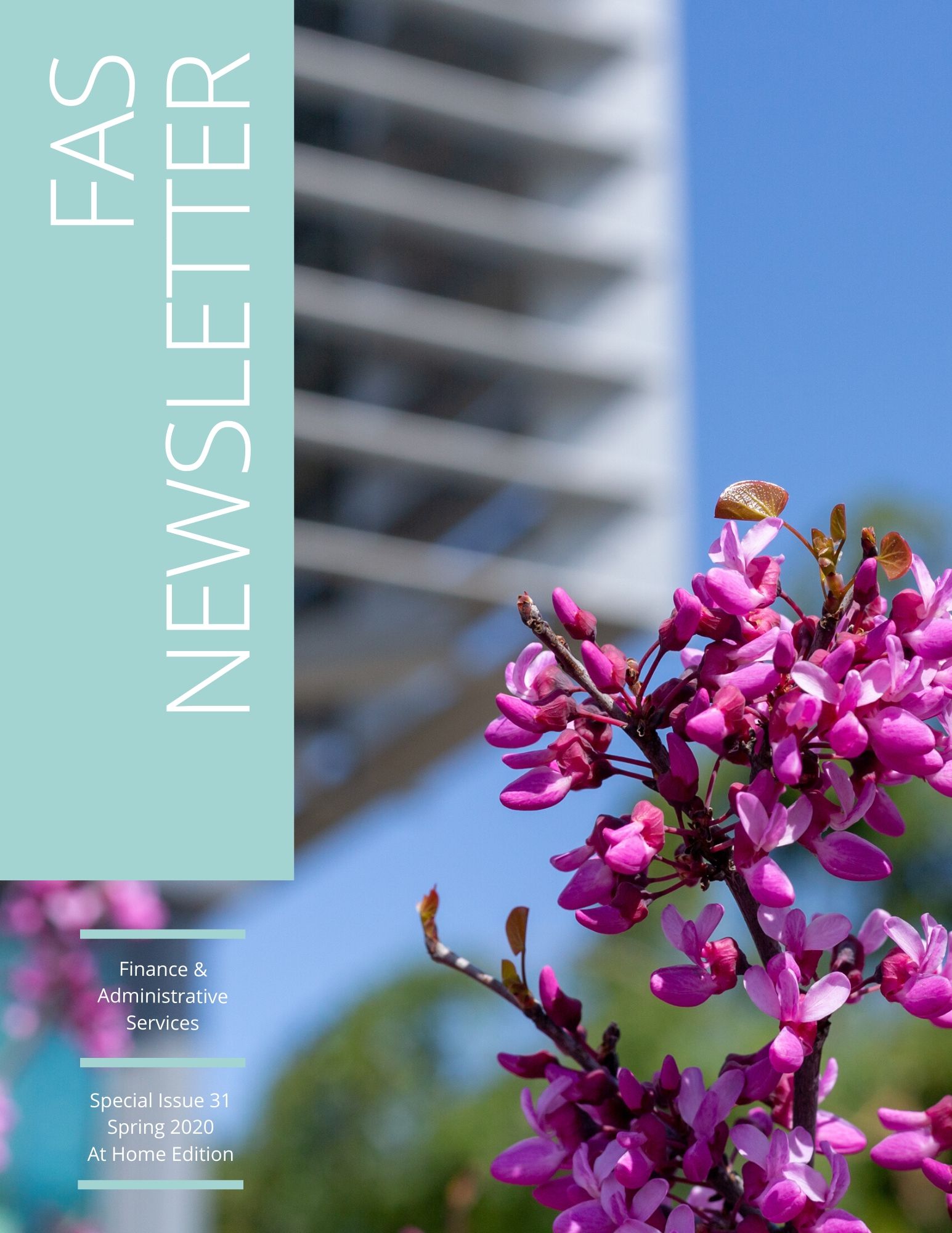 fas newsletter spring 2020 cover image