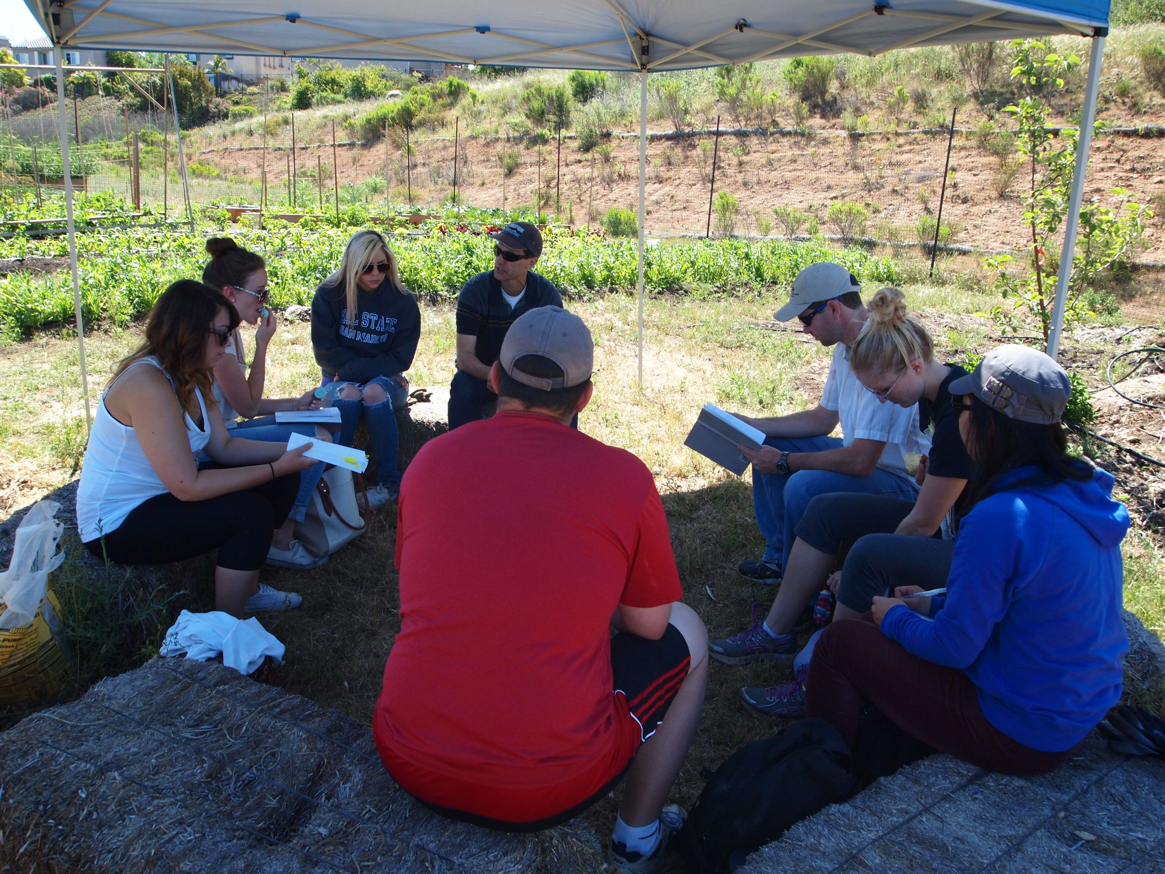 GEOG 460 Food Systems and Emerging Markets class meeting at the sustainable food garden