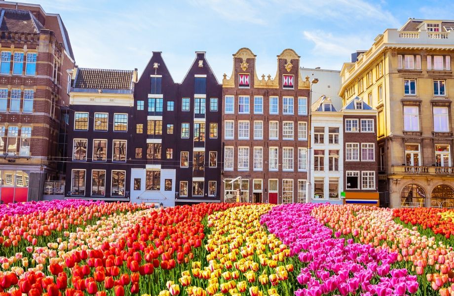 colorful buildings with flowers in Amsterdam