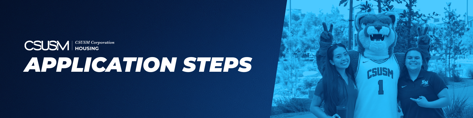 Application Steps