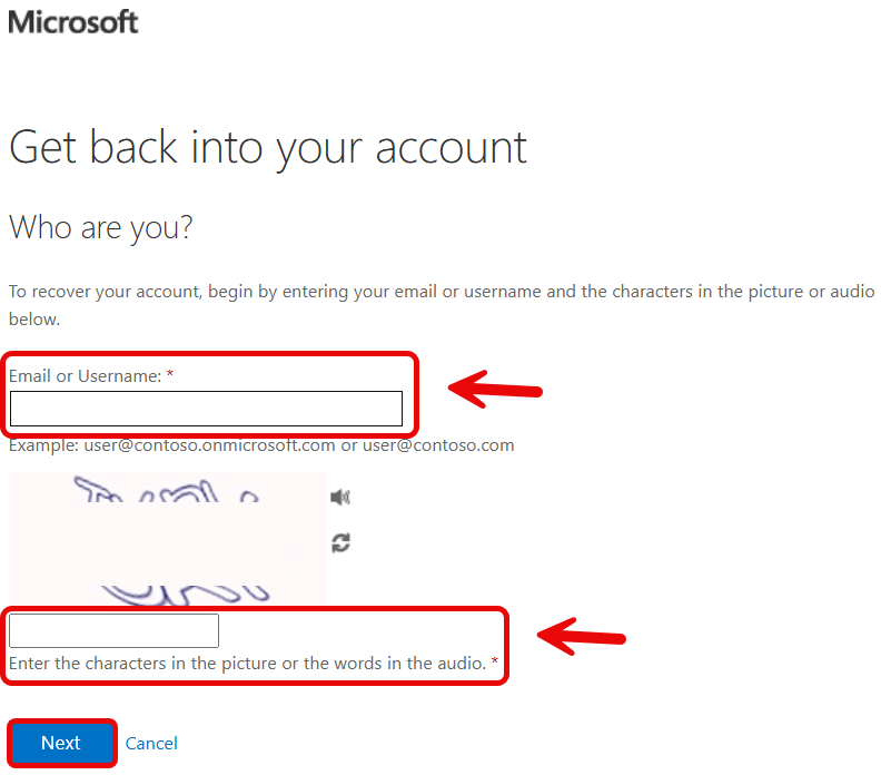 Microsoft Password Reset Page