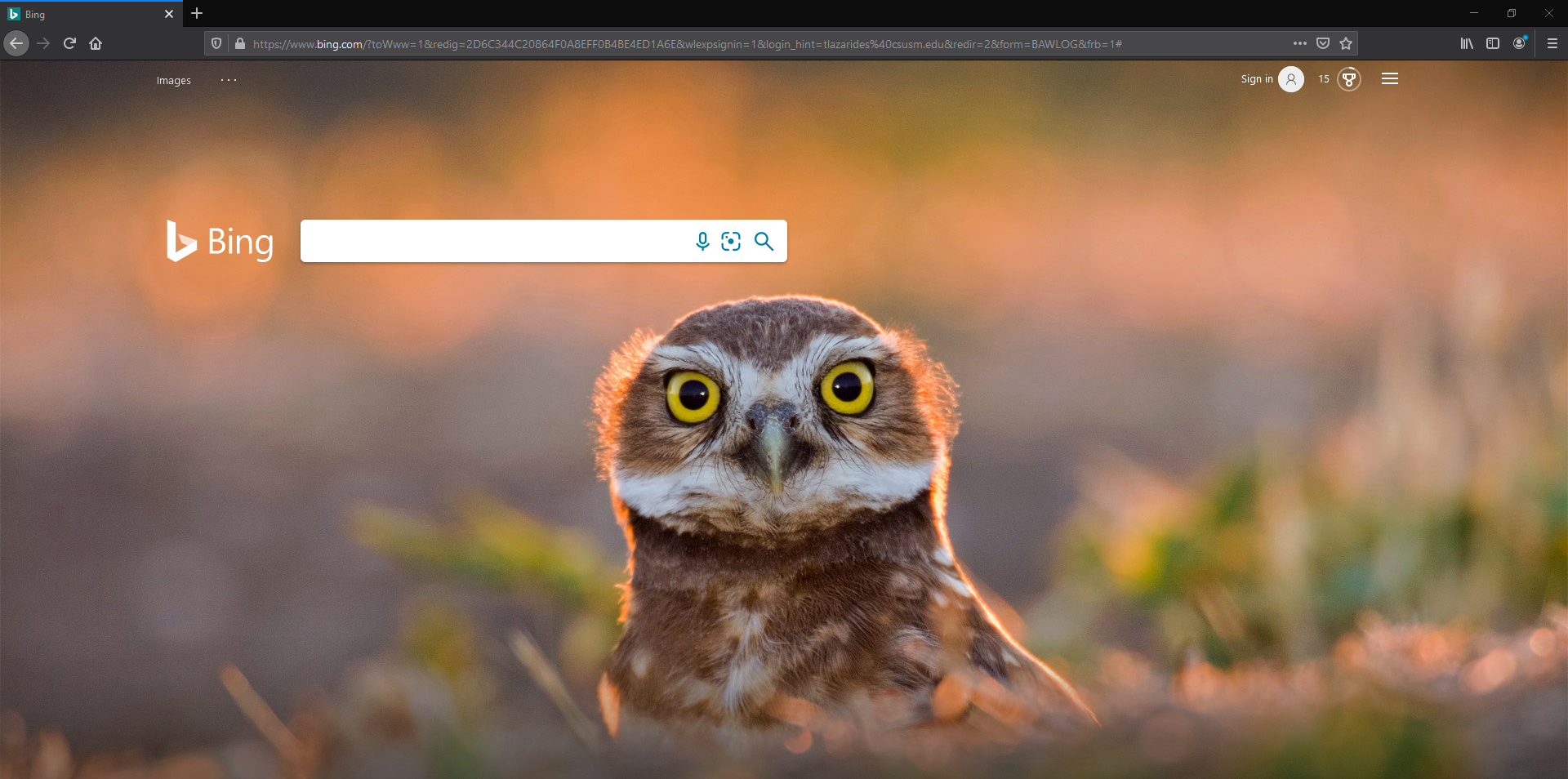 Bing website homepage