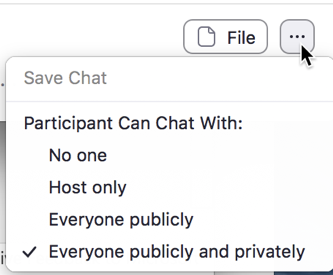 chat options in zoom meeting for who can chat