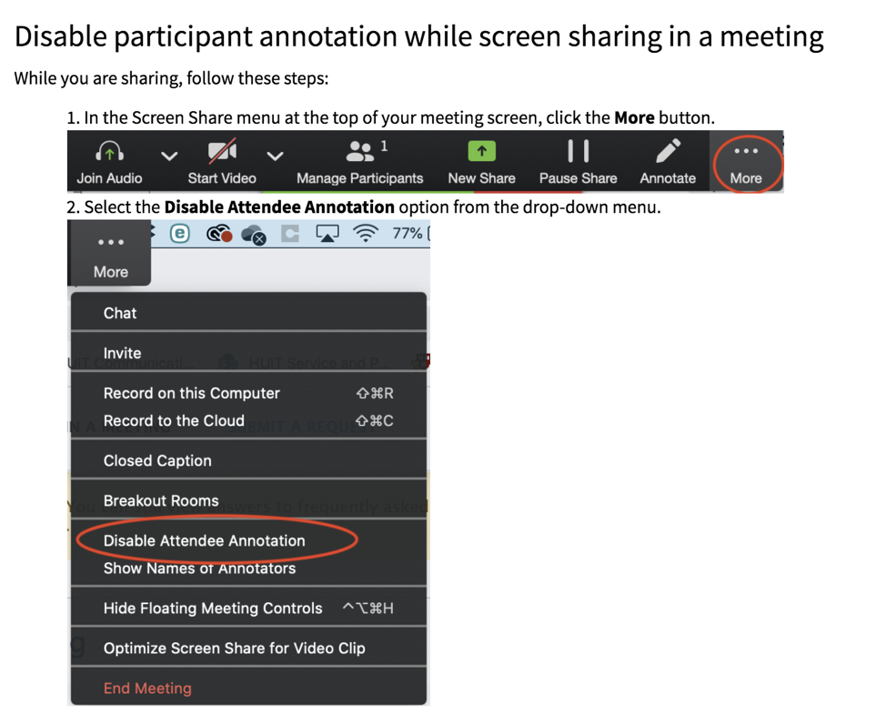 disable annotations during screenshare in the meeting