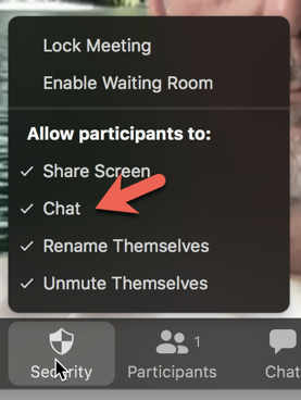 disable chat during a meeting in zoom