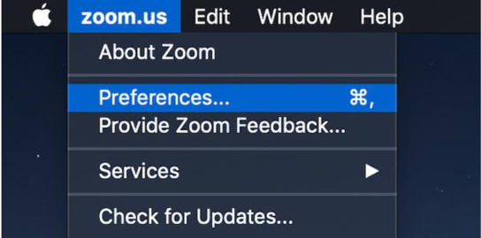 Zoom prefs on Mac