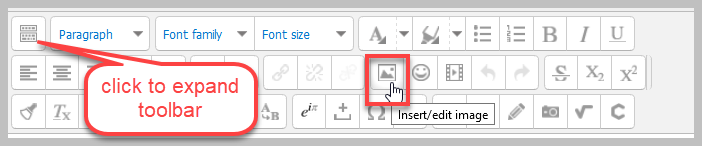 add image icon on expanded  toolbar