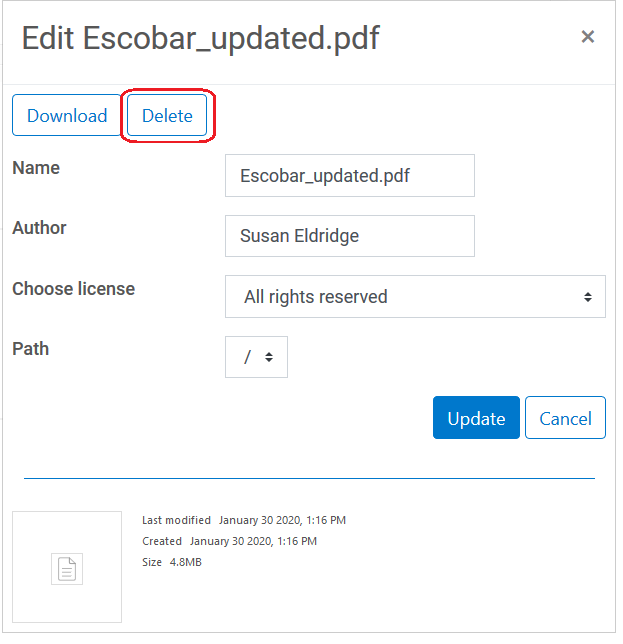 delete button in edit file popup