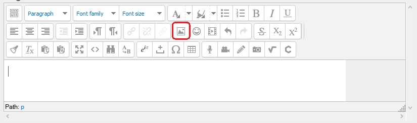 toolbar with insert picture icon