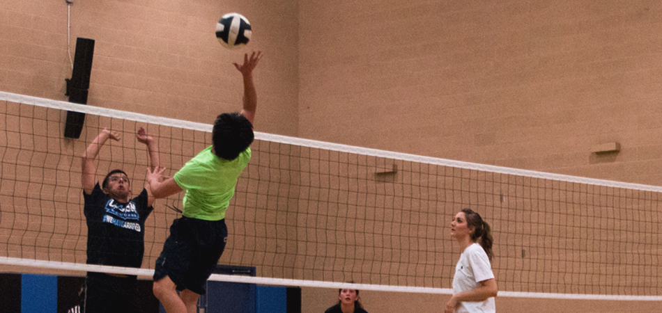 Volleyball