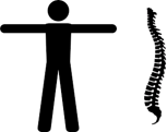 stick figure and spine