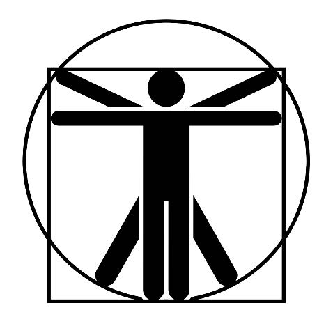 csusm ergonomic program