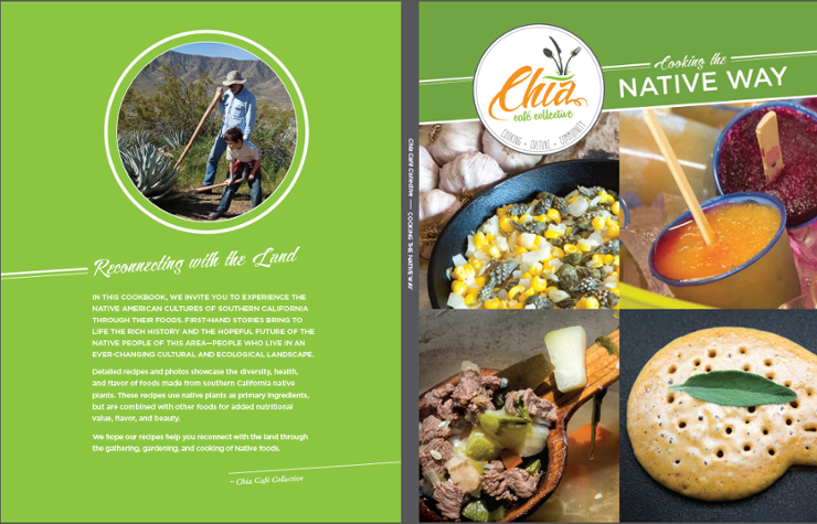 Native foods cookbook cover