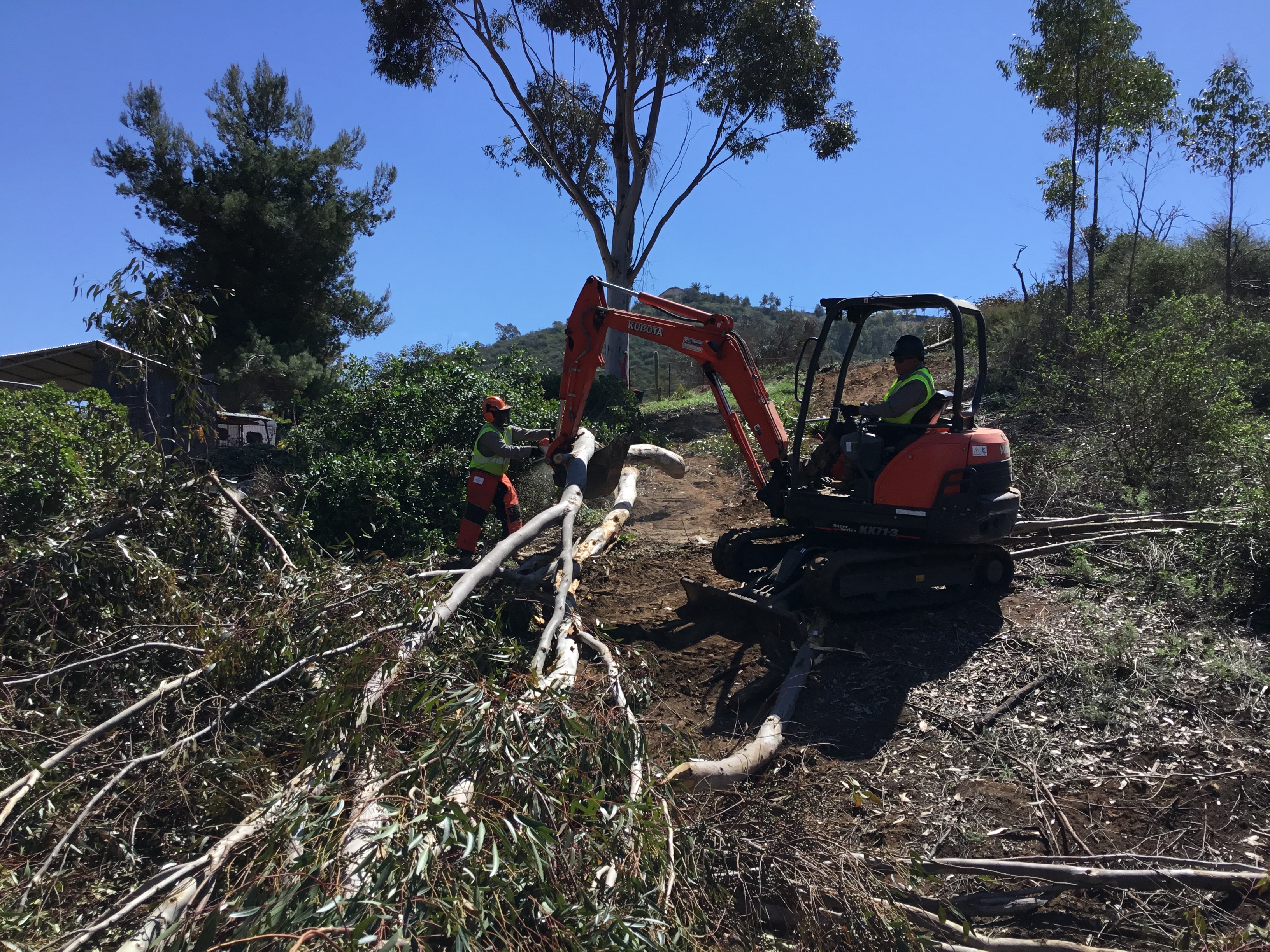 Man inside a small tractor clearing brush