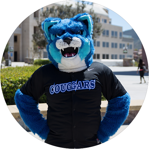 Crash the Cougar